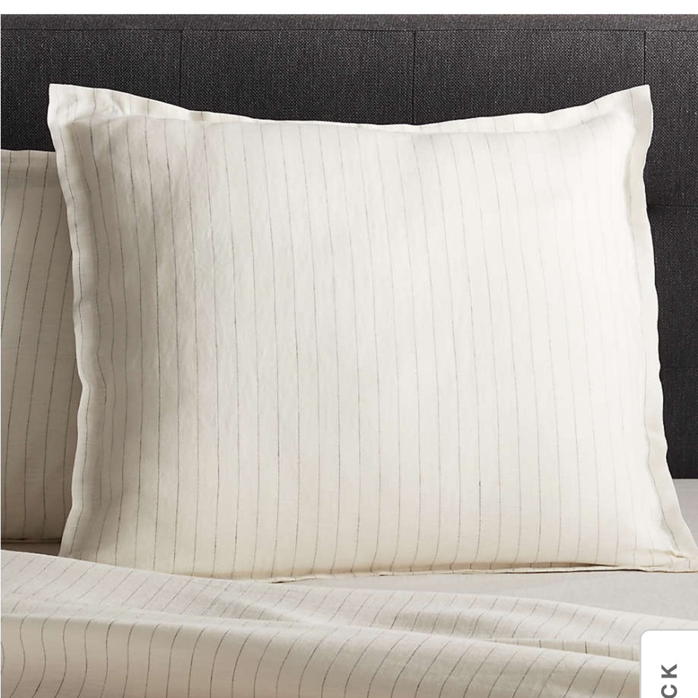 Crate & Barrel euro sham. Pure linen, warm white